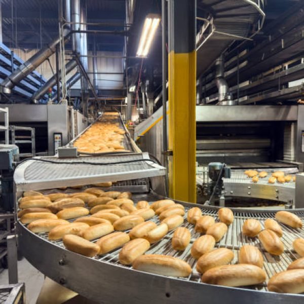 Conveyor belt full of freshly baked breads in a factory