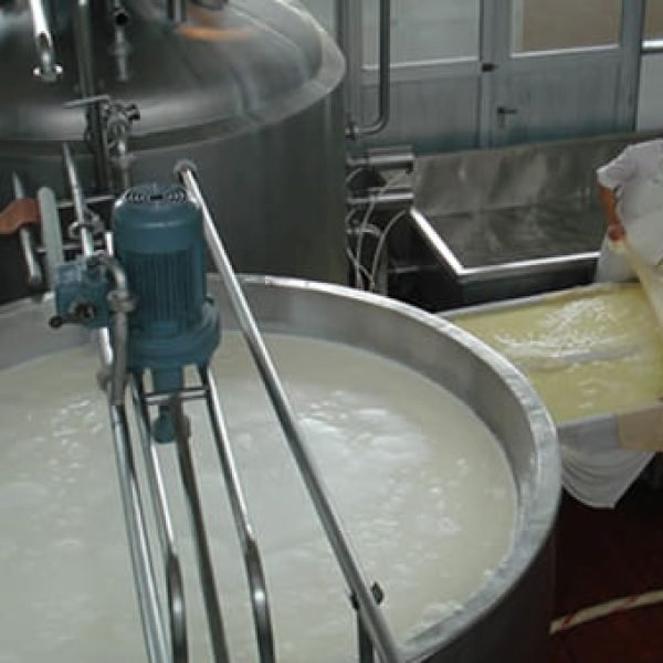 Industria de lacteos