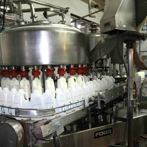 Industria de lacteos